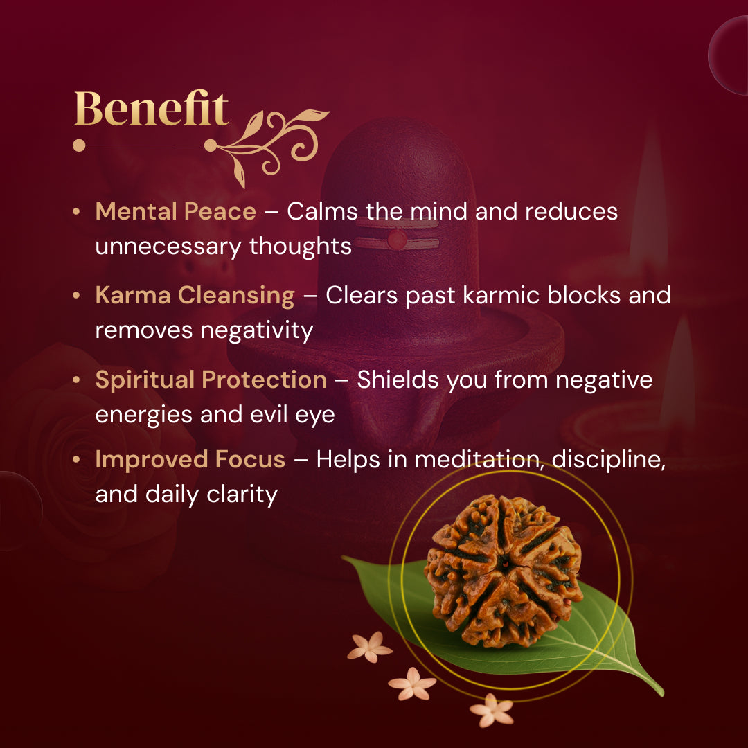5 Mukhi Rudraksha with Free 5 Mukhi Rudraksha 5 Pices Kawach