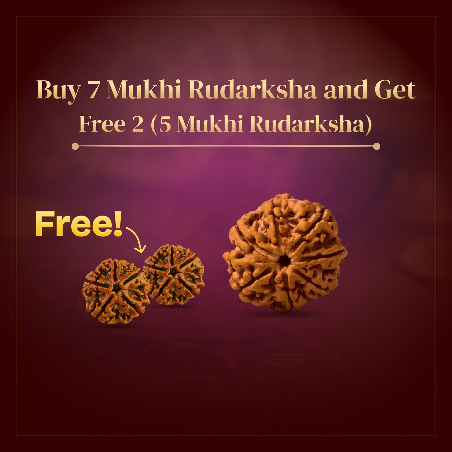 7 Mukhi Rudraksha with Free 5 Mukhi Rudraksha (2 Pices) – Divine Protection Combo