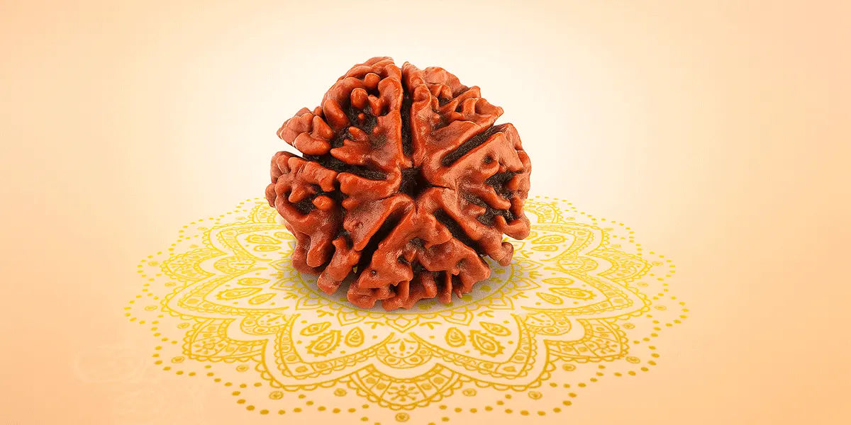 5 Mukhi Rudraksha: The Bead of Peace, Positivity & Spiritual Growth