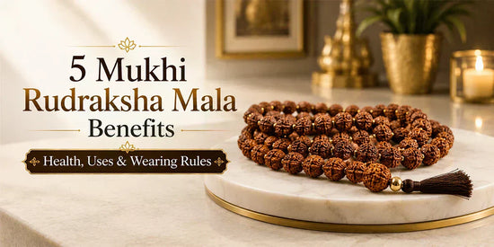 5 Mukhi Rudraksha Benefits