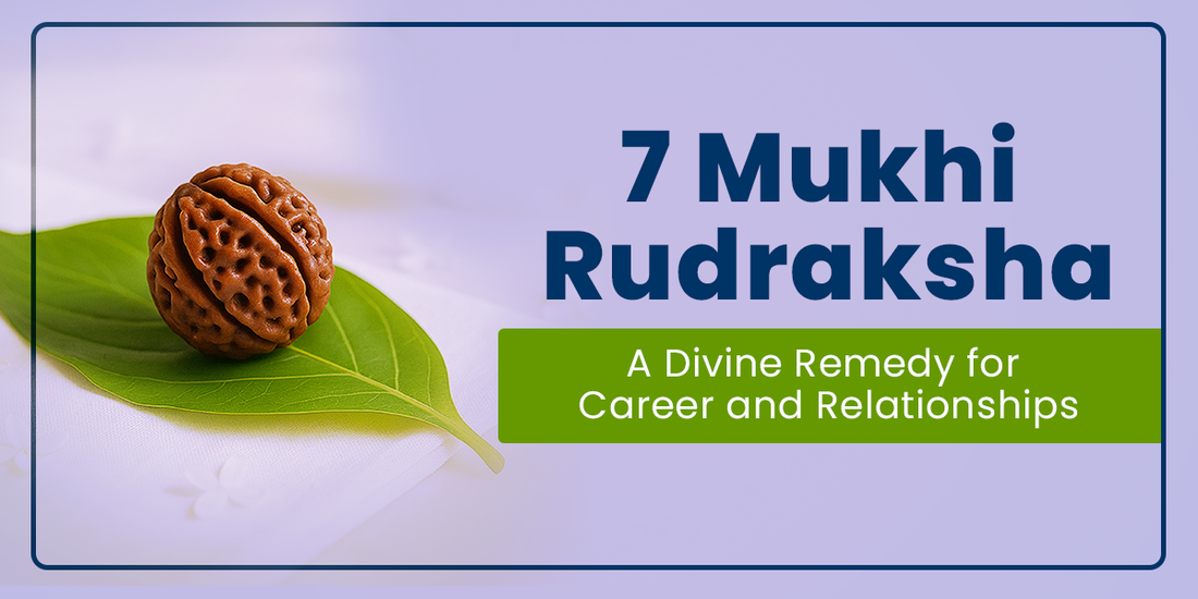 7 Mukhi Rudraksha: A Divine Remedy for Career and Relationships