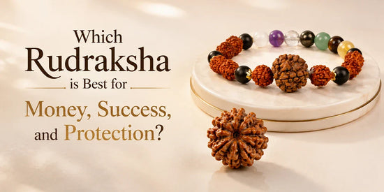 Which Rudraksha is Best for Money