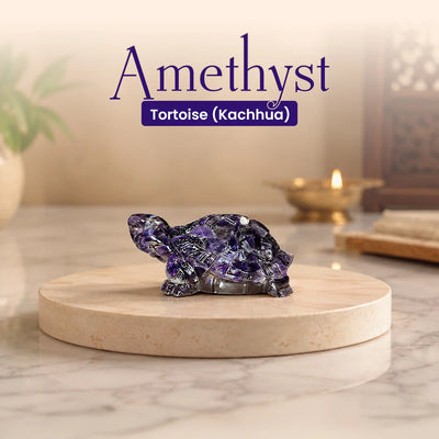 Amethyst Tortoise (Kachhua)