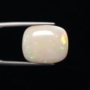 Fire Opal - 2848