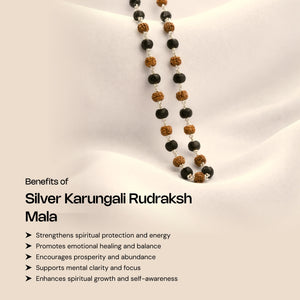 
                    
                      Authentic Karungali Beads Rudraksh Mala with Silver Coating - Gemsinvite  
                    
                  