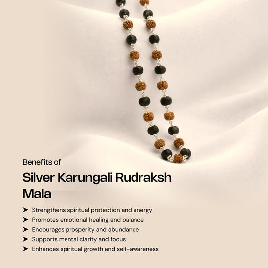 Authentic Karungali Beads Rudraksh Mala with Silver Coating - Gemsinvite  