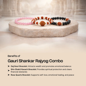 
                    
                      Gauri Shankar Rajyog Combo - Gemsinvite  
                    
                  