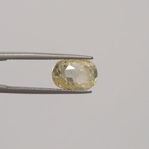 Yellow Sapphire - 3023