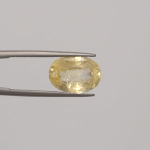 Yellow Sapphire - 3022