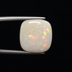 Fire Opal - 2852