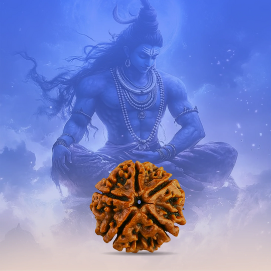 5 Mukhi Rudraksha with Free 5 Mukhi Rudraksha 5 Pices Kawach