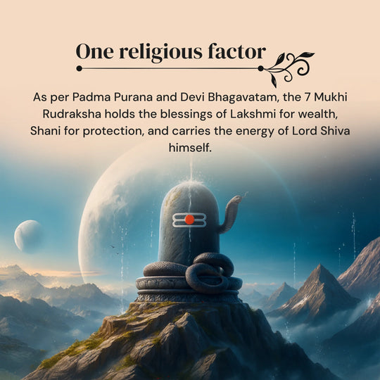 7 Mukhi Rudraksha with Free 5 Mukhi Rudraksha (2 Pices) – Divine Protection Combo