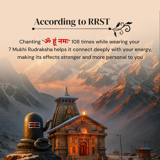 7 Mukhi Rudraksha with Free 5 Mukhi Rudraksha (2 Pices) – Divine Protection Combo