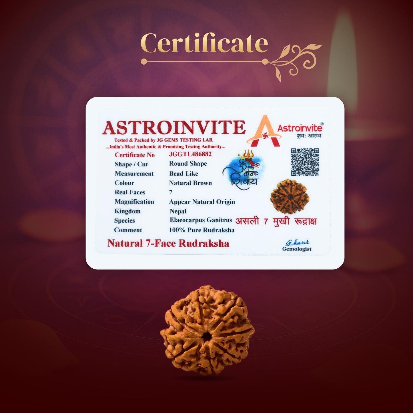 7 Mukhi Rudraksha with Free 5 Mukhi Rudraksha (2 Pices) – Divine Protection Combo