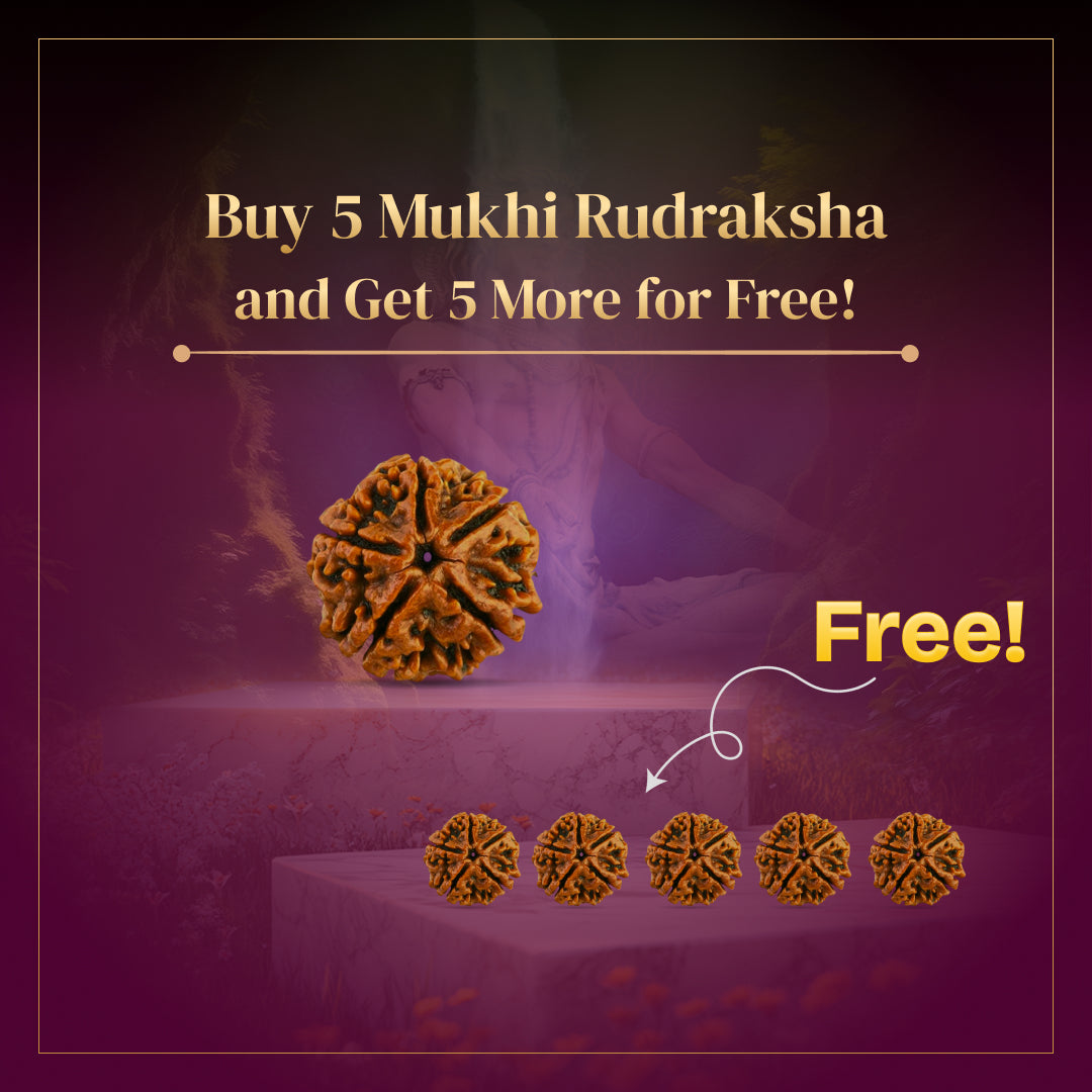 5 Mukhi Rudraksha with Free 5 Mukhi Rudraksha 5 Pices Kawach