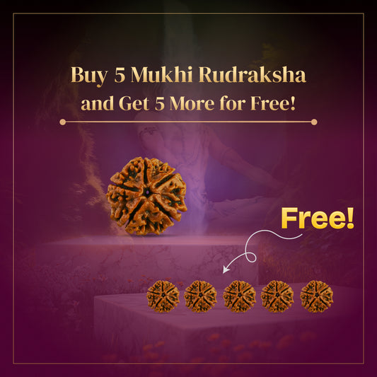 5 Mukhi Rudraksha with Free 5 Mukhi Rudraksha 5 Pices Kawach