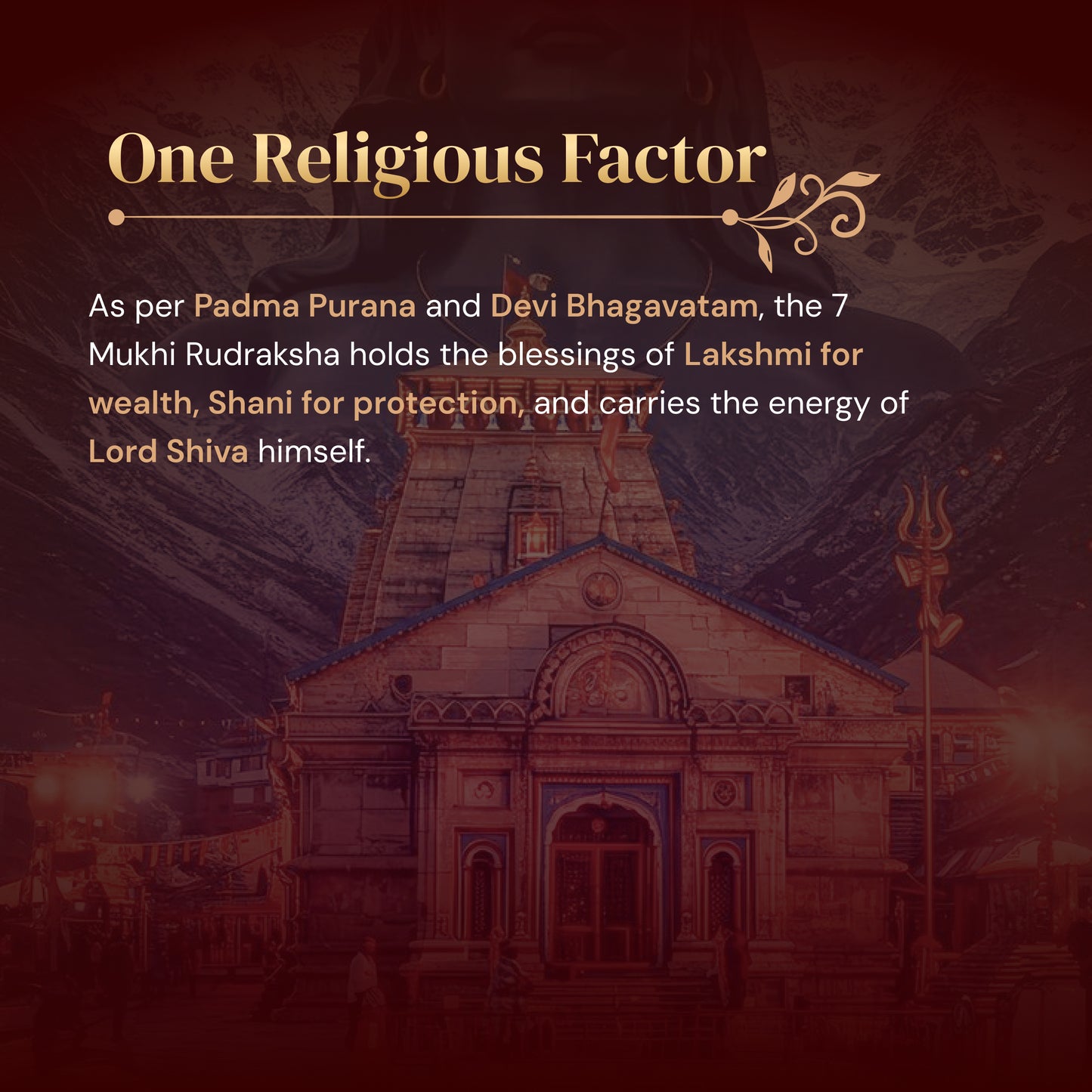 7 Mukhi Rudraksha with Free 5 Mukhi Rudraksha (2 Pices) – Divine Protection Combo