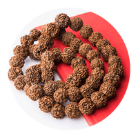 Rudraksha